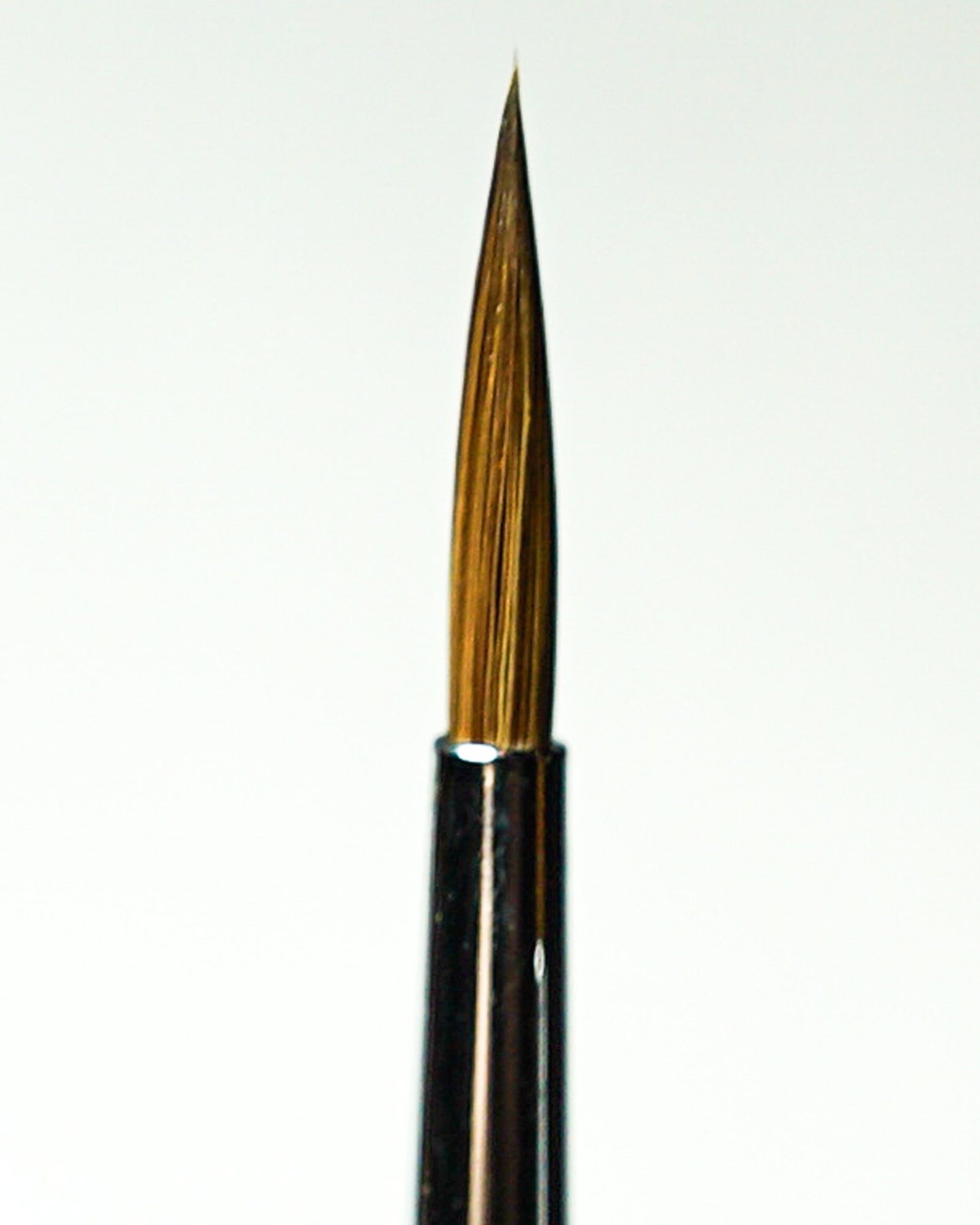 Kolinsky sable brush tip, close up